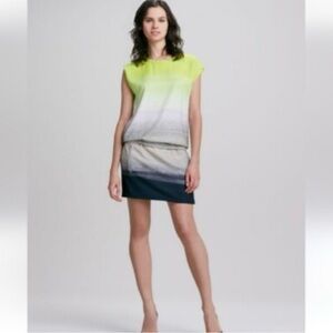 Diane Von Furstenberg Blouson Tara Dress Size 6 Brushed Horizon Ombre Drop Waist